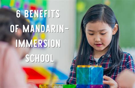 chinese schools near me|mandarin immersion schools near me.
